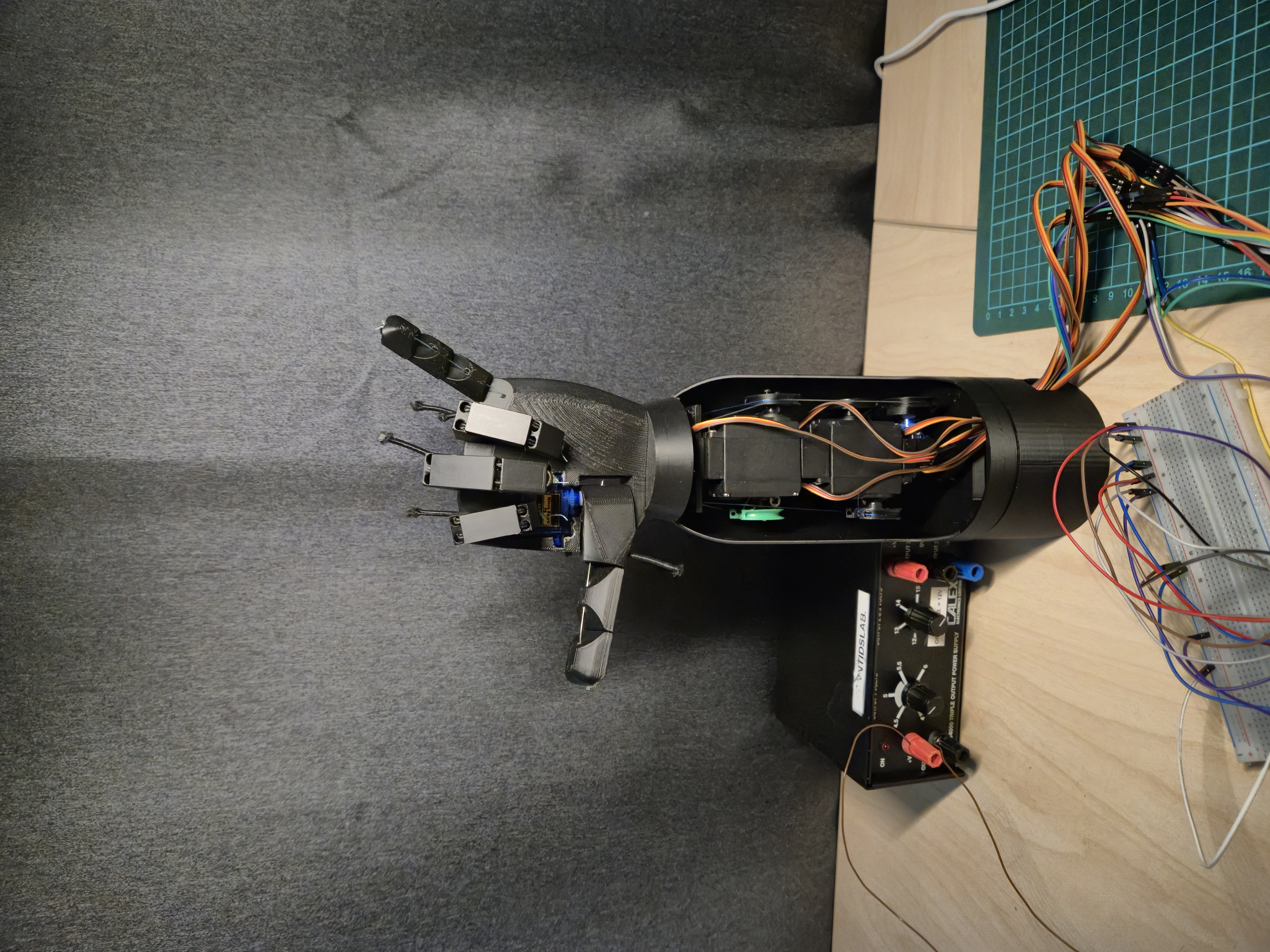Robotic Hand